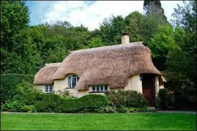 Comment appelle-t-on ce type de toit qui est composé de végétaux ?