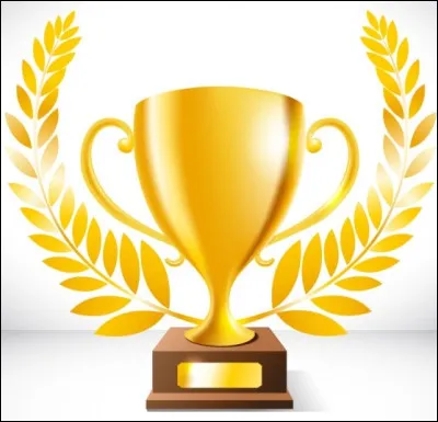 Quel est le palmarès de ton joueur ?