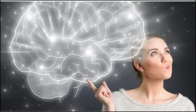 Quel nom donne-t-on à la réponse physiologique qui a lieu au maximum de la phase de l'excitation charnelle ?