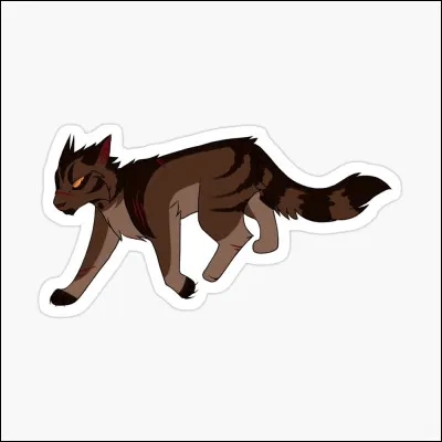 Quoi ? ! Nuage de Tigre évolue ? Félicitations ! Nuage de Tigre a évolué en...