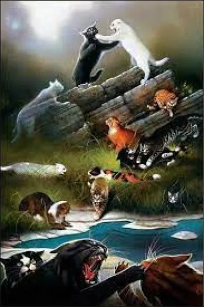 Lors d'une bataille de patrouille aux Rochers du Soleil, Griffe de Tigre tue...