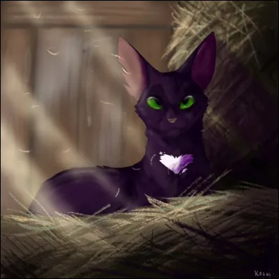 Nuage de Jais déteste son mentor, Griffe de Tigre, car il...