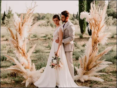 Veux-tu de la dentelle dans ta robe ?