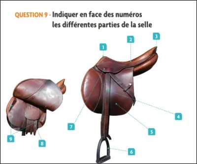 C'est la derni&egrave;re pour la selle, comment s'appelle la neuvi&egrave;me partie ?