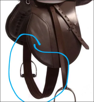 Comment s'appelle la partie entourée ?