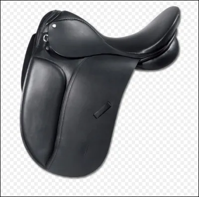 Quel type de selle est-ce ?