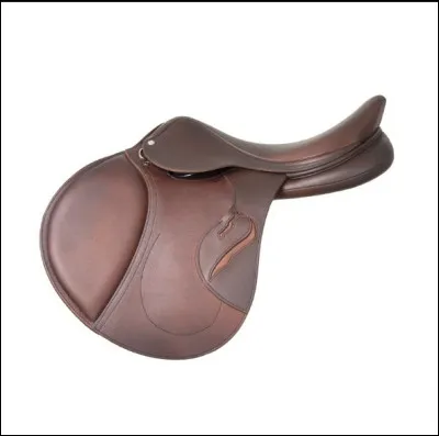 Quel type de selle est-ce ?