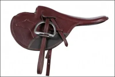 Quel type de selle est-ce ?