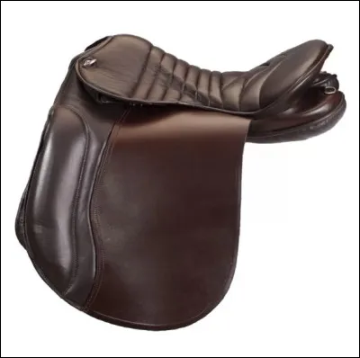 Quel type de selle est-ce ?