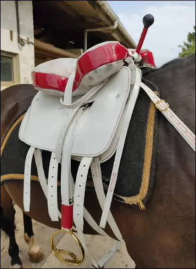 Quel type de selle est-ce ?