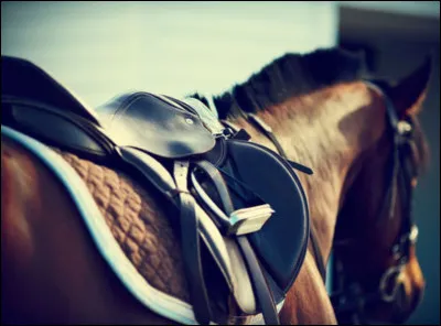 De quelle matière sont pratiquement faites toutes les selles ?