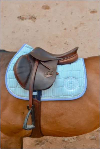 Comment s'appelle la chose bleue qui est sous la selle sur l'image ?