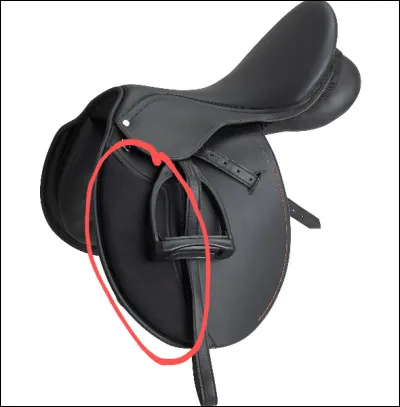 Comment s'appelle la partie entourée ?