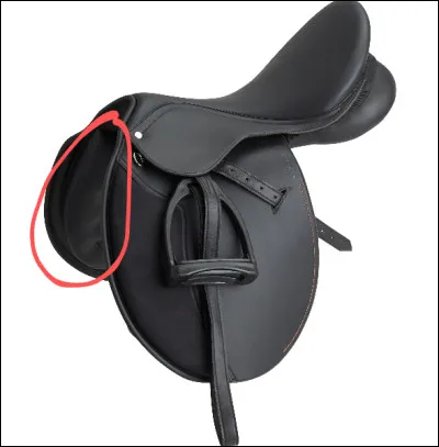 Comment s'appelle la partie entourée ?