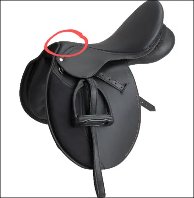 Comment s'appelle la partie entourée ?