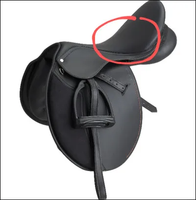 Comment s'appelle la partie entourée ?