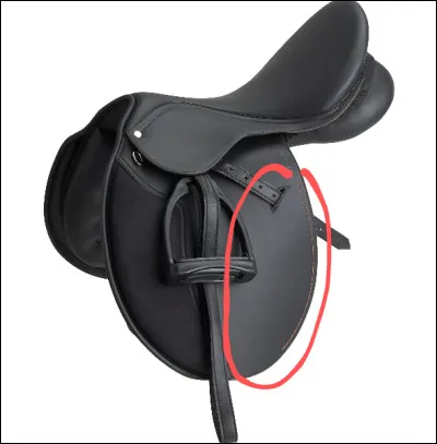 Comment s'appelle la partie entourée ?