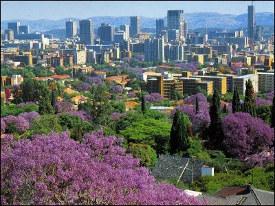 Quelle ville en P n'est pas située au Texas (USA) ?