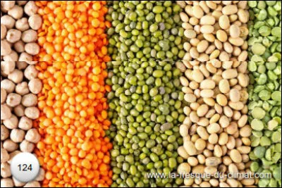 Les cartes > Agriculture > Que constate-t-on depuis quelques temps - à l'échelle mondiale - et qui ne fera que s'accentuer concernant les légumineuses ?