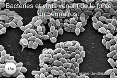 Réchauffement > Lorsque les milliards de bactéries et de virus enfouis dans [... ?...]* se réveilleront, ... (Complétez les crochets et la phrase !)