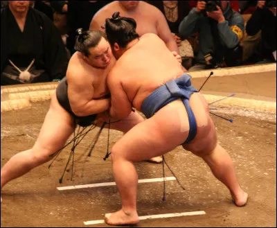 Que signifie le mot "sumo" ?