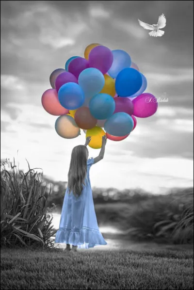 Vous venez de vous inscrire sur le site Quizz.biz, vous découvrez un quiz qui vous a plu et enthousiasmé. Que dire ?