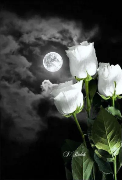 Qu'est-ce que "la nouvelle Lune" ?