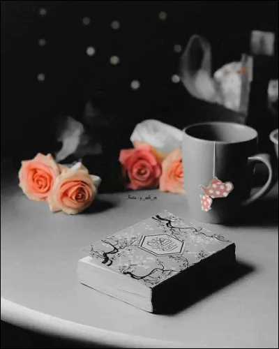 En littérature, qu'est ce qui différencie une "nouvelle" d'un roman ?