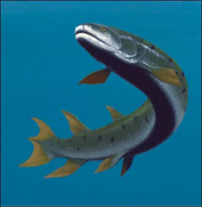 L'eusthenopteron est un poisson éteint ayant eu un impact majeur dans la transition entre les animaux marins et les tétrapodes à la préhistoire. Quel est son surnom ?