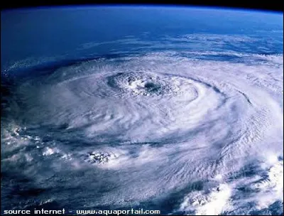 Dans les années 90, une émission sur Canal Plus s'appelle ...