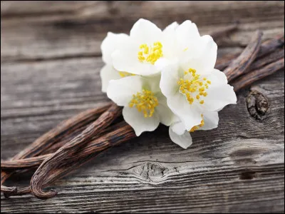 De quel pays est originaire la vanille ?