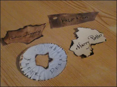 Enfin c'est le grand jour ! La Coupe a enfin décidé qui seront les 3 champions : 
La championne de Beauxbâtons est... Elena Petitmoulin
Le champion de Drumstrang est... Paul Andersene
Et le/la champion/ne de Poudlard n'est autre que... toi !
Alors ? Es-tu prêt à être un champion ?