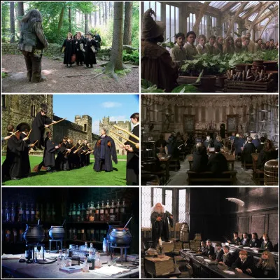 Après cette grande annonce terminée, tu rejoins ton groupe d'amis à votre cours préféré qui est :