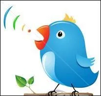 Parmi ces espces, laquelle n'est pas capable d'imiter la parole humaine ?