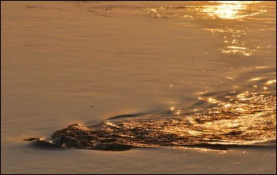 Plus connue aujourd'hui par l'expression, la rivière Pactole et ses sables aurifères furent à l'origine de la fortune colossale de Crésus, souverain de Lydie au VIe siècle av. J.-C. Quel synonyme NE pourrez-vous PAS trouver à ce cours d'eau ?