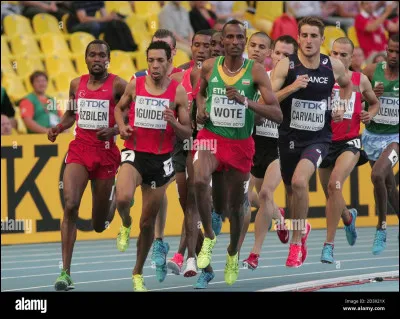 Pour battre les records de course de demi-fond, certains coureurs sollicitent d'autres coureurs pour assurer une allure soutenue pendant les premiers tours. Quel surnom leur donne-t-on ?