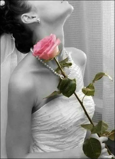 À qui s'adressait Ronsard par les mots "Mignonne allons voir si la rose..." ?