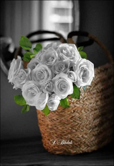 Dans la chanson de Berthe Sylva, comment étaient les roses que le gamin destinait à sa mère, assorties des mots "pour toi jolie maman" ?