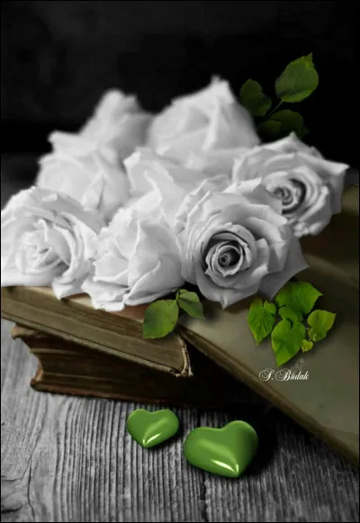 Qui a écrit "Roses à crédit" ?