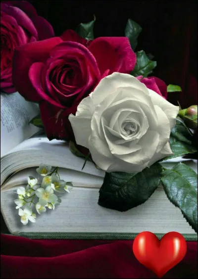 Qu'appelle-t-on un roman à l'eau de rose ?