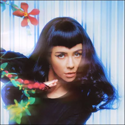 They call him Hermit the Frog
He's looking for a dog
Did you find your bitch in me ?
Oh, you're abominable, socially
You're just a little bit too much like me.

Quel est le titre de cette chanson ?