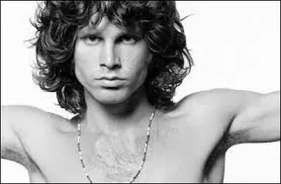 Arts : De quel groupe de musique Jim Morrison était-il le cofondateur ?