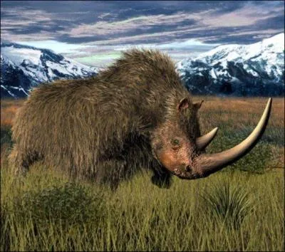 Comment s'appelle ce rhinocros prhistorique ?