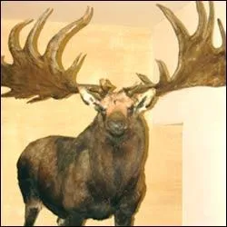 Comment s'appelle ce cerf prhistorique ?