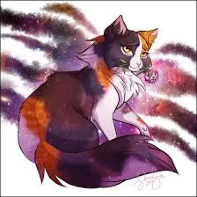 Je suis l'une des plus vielles chattes connues de la Forêt Sombre. J'ai eu des chatons avec un guerrier rival qui sont morts noyés.