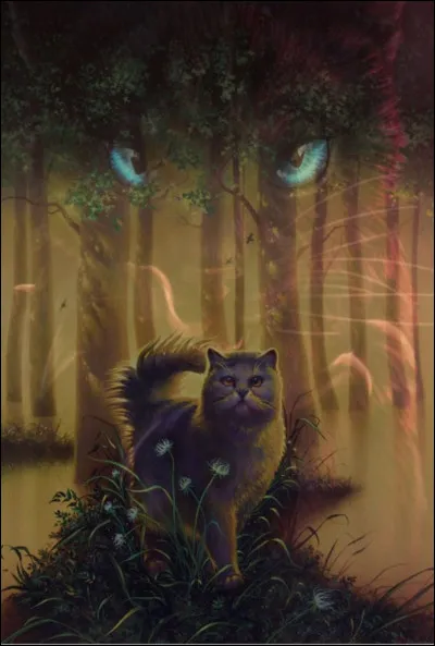 Je suis le fils d'une guérisseuse. Je faisais devenir les chatons apprentis à l'âge de deux lunes. Ma mère m'a tué deux fois.