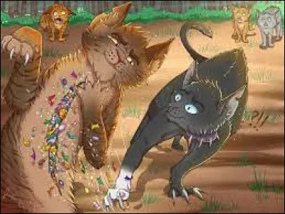 Je suis un petit chat aux yeux bleus comme la glace. Ma sur porte le nom d'une pierre précieuse. J'ai éventré Étoile de Tigre puis j'ai pris une vie du chef du Clan du Tonnerre qui m'a ensuite tué.