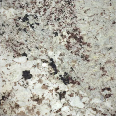 La chatte que j'aimais m'a rejeté pour Griffe de Ronce. J'ai été tué par la fille adoptive de mon ancienne compagne mais je suis tout de même allé au Clan des Étoiles.