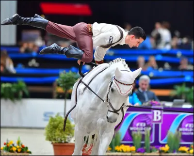 Comment s'appelle cette discipline équestre ?