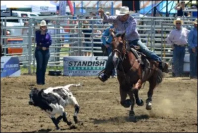 Comment s'appelle cette discipline équestre ?